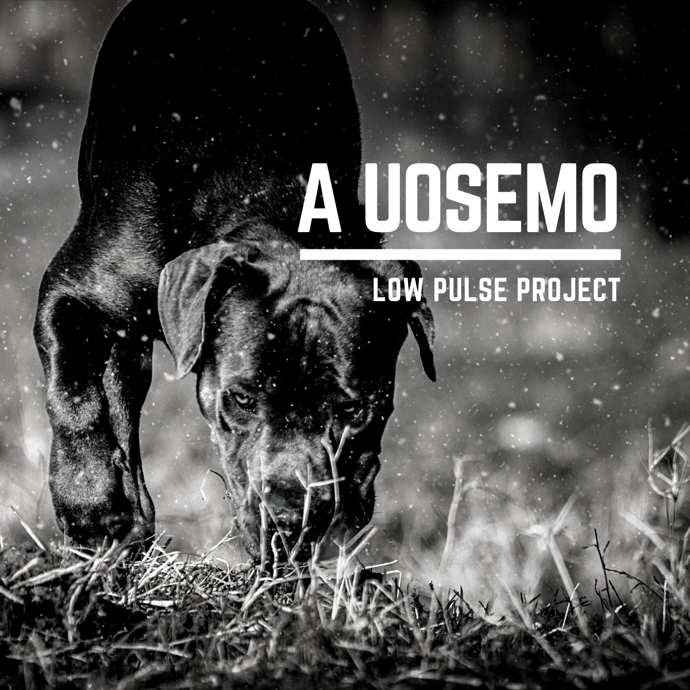 A Uosemo Feat. Daniele De Cario